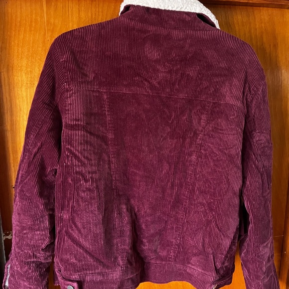 Corduroy jacket - Picture 9 of 9